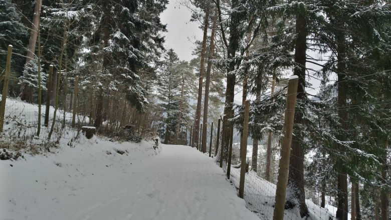 Winter , © Naturpark Falkenstein 