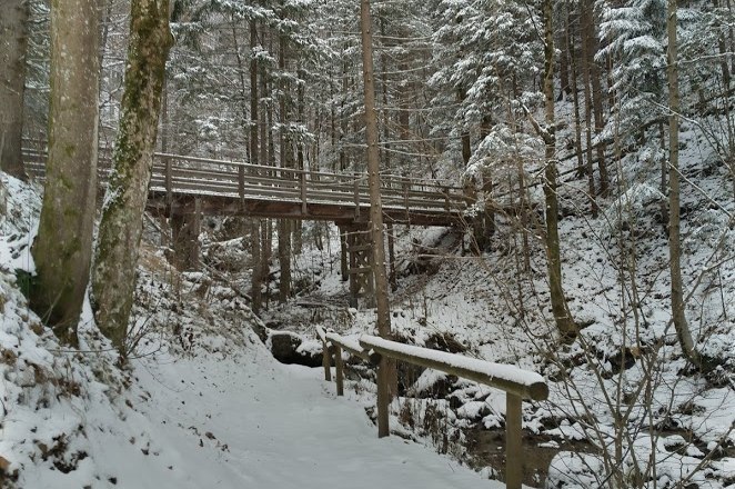 Winter , © Naturpark Falkenstein 