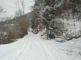 Sparziergang durch den Naturpark, © Marktgemeinde Schwarzau